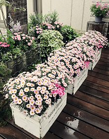 写真:フラワーアレンジメント作例