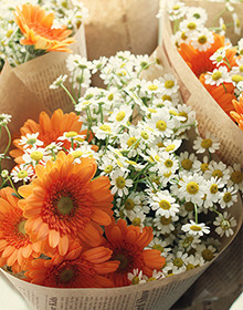 写真:お花の定期便の例